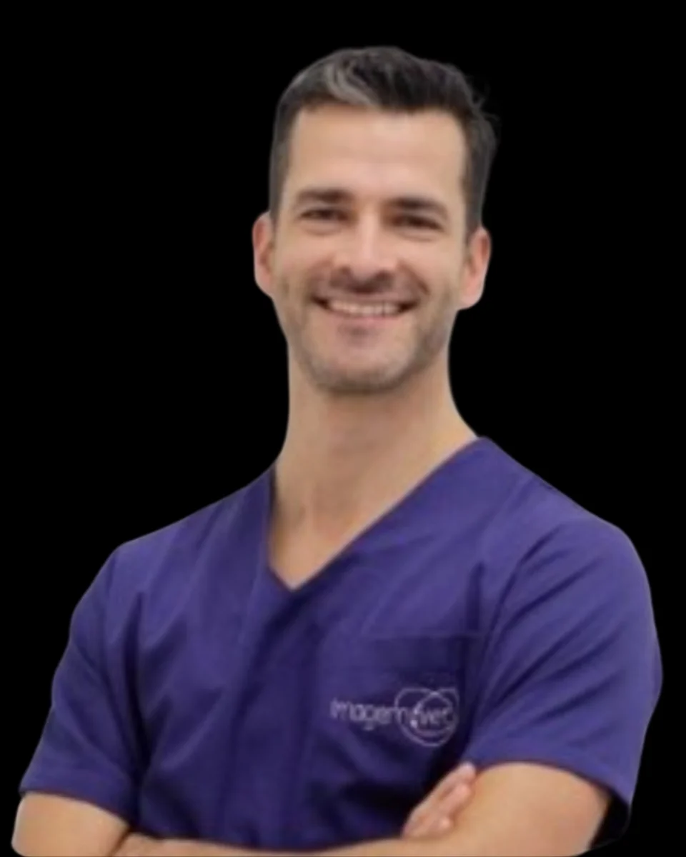 Prof. Eduardo Ayres